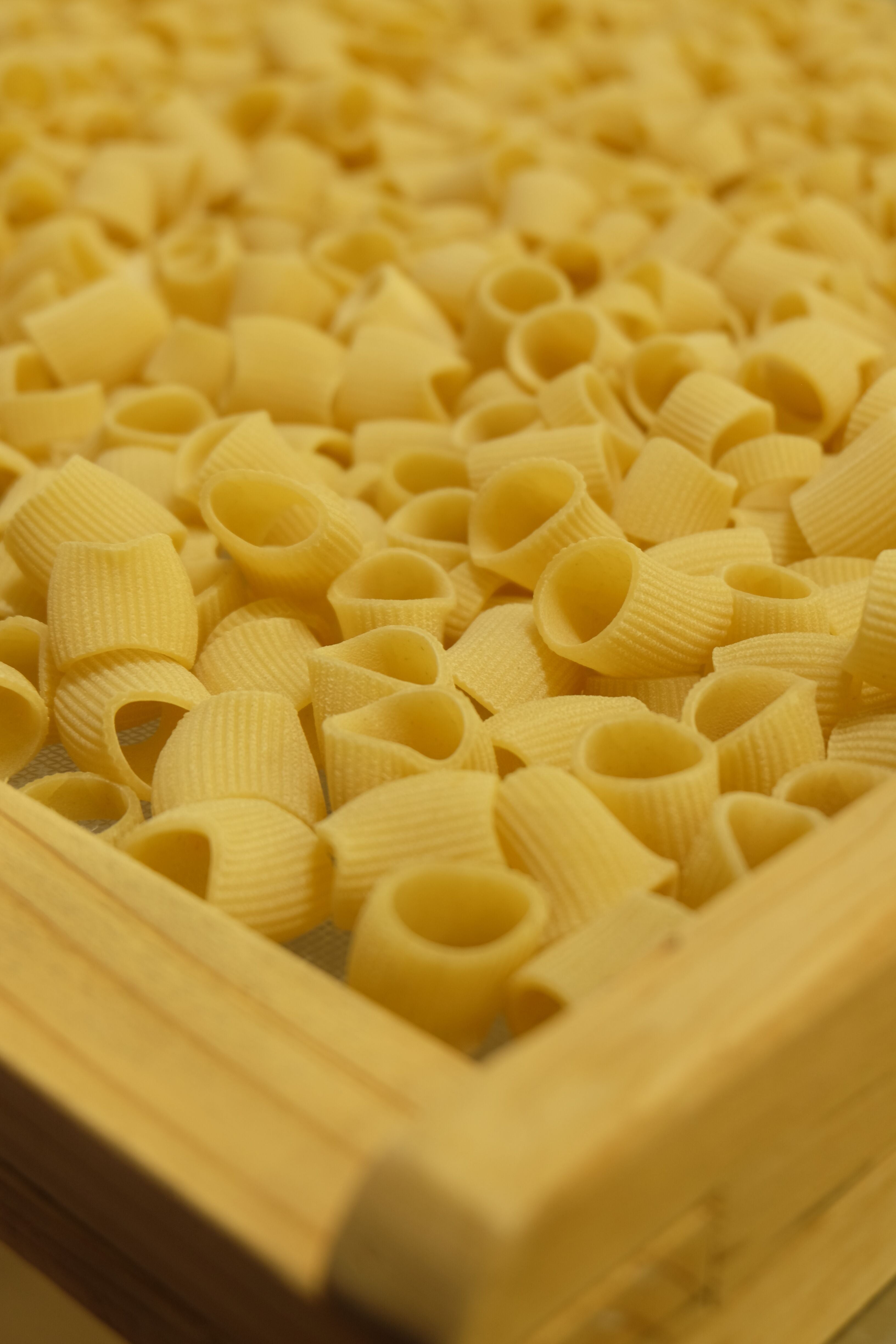 Pâtes - Cannelloni Rigate Nature