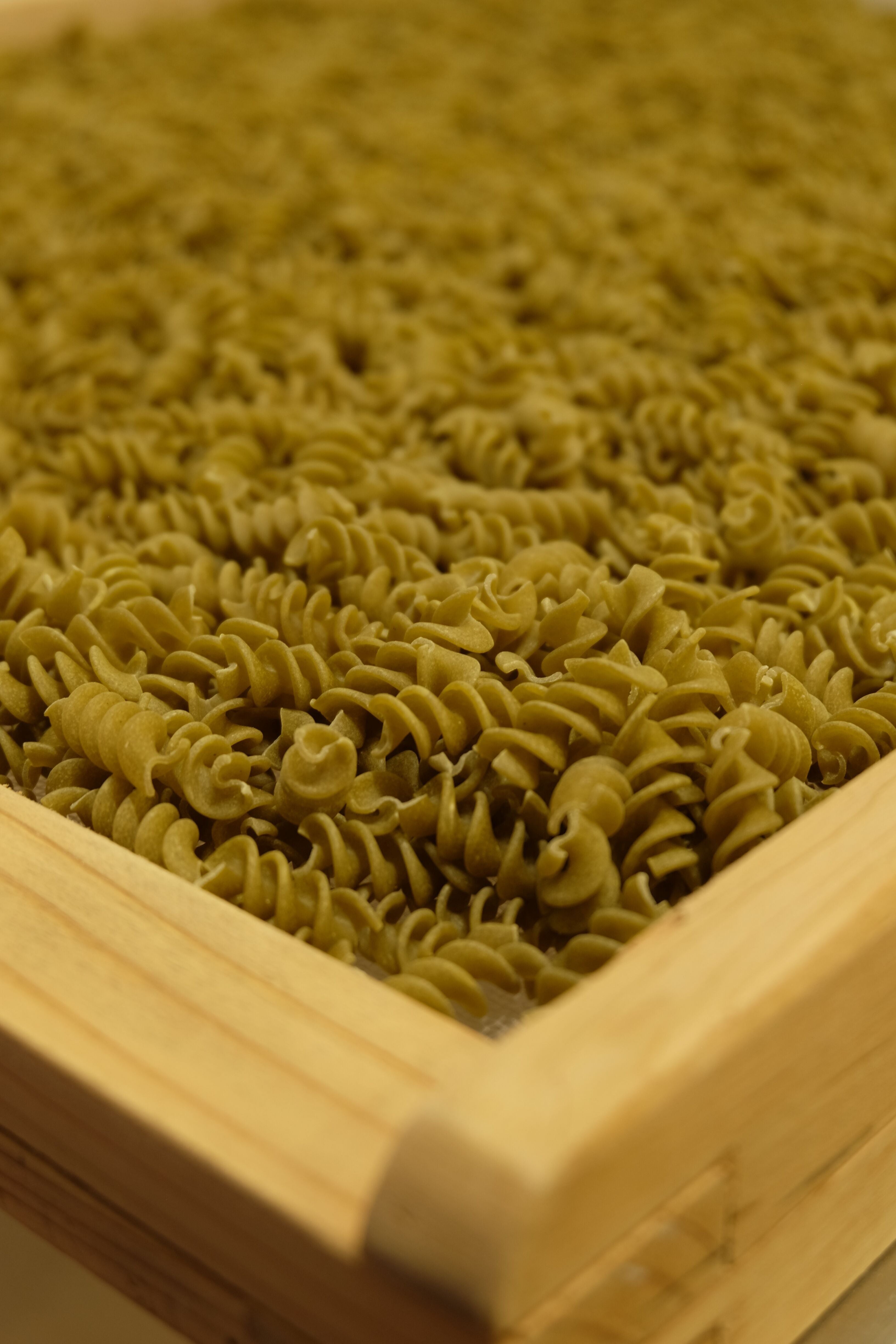 Pâtes Fabre - Pâtes BIO - Torsade 100% Petit Pois