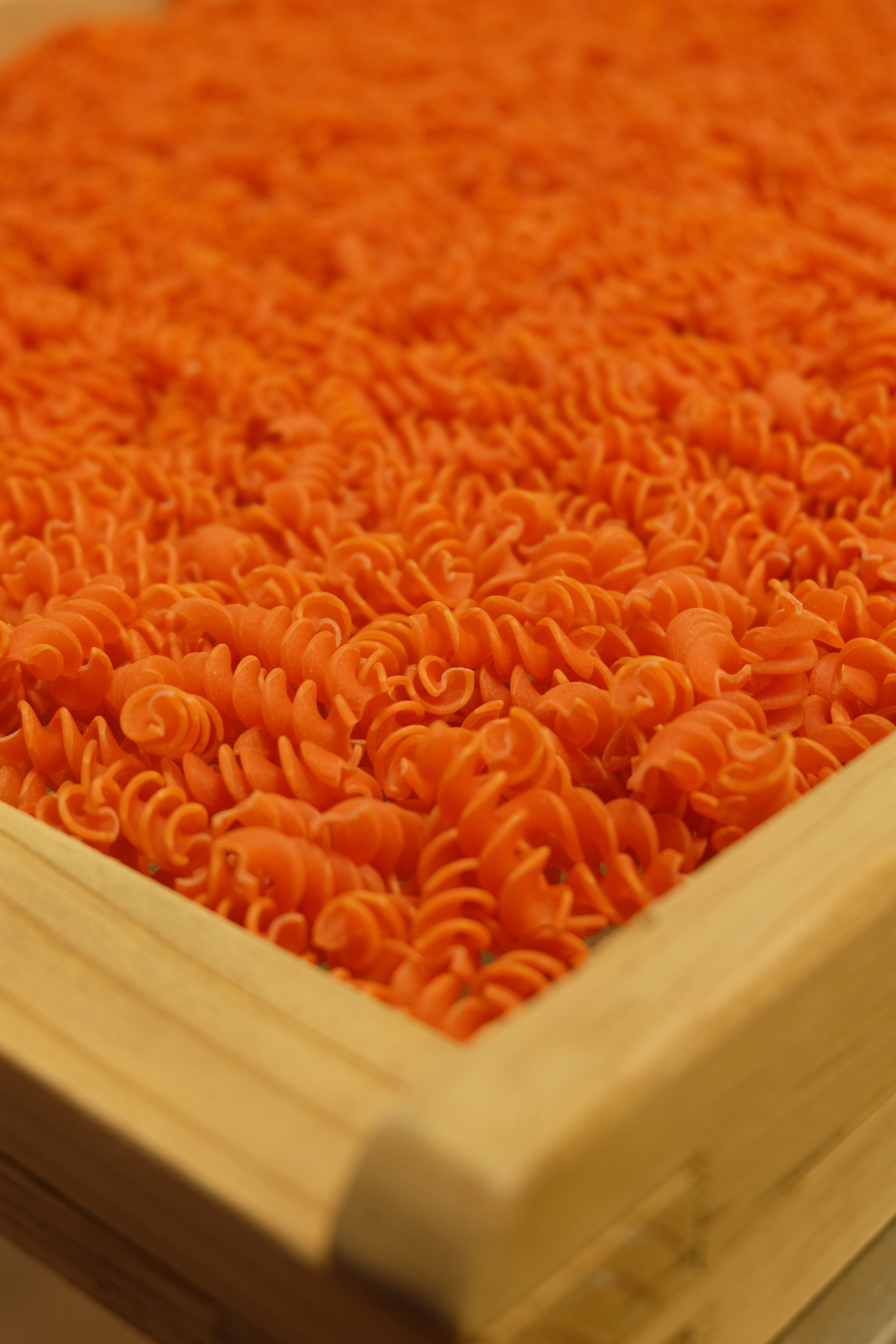 Pâtes Fabre - Pâtes BIO - Torsade 100% Lentilles Corail