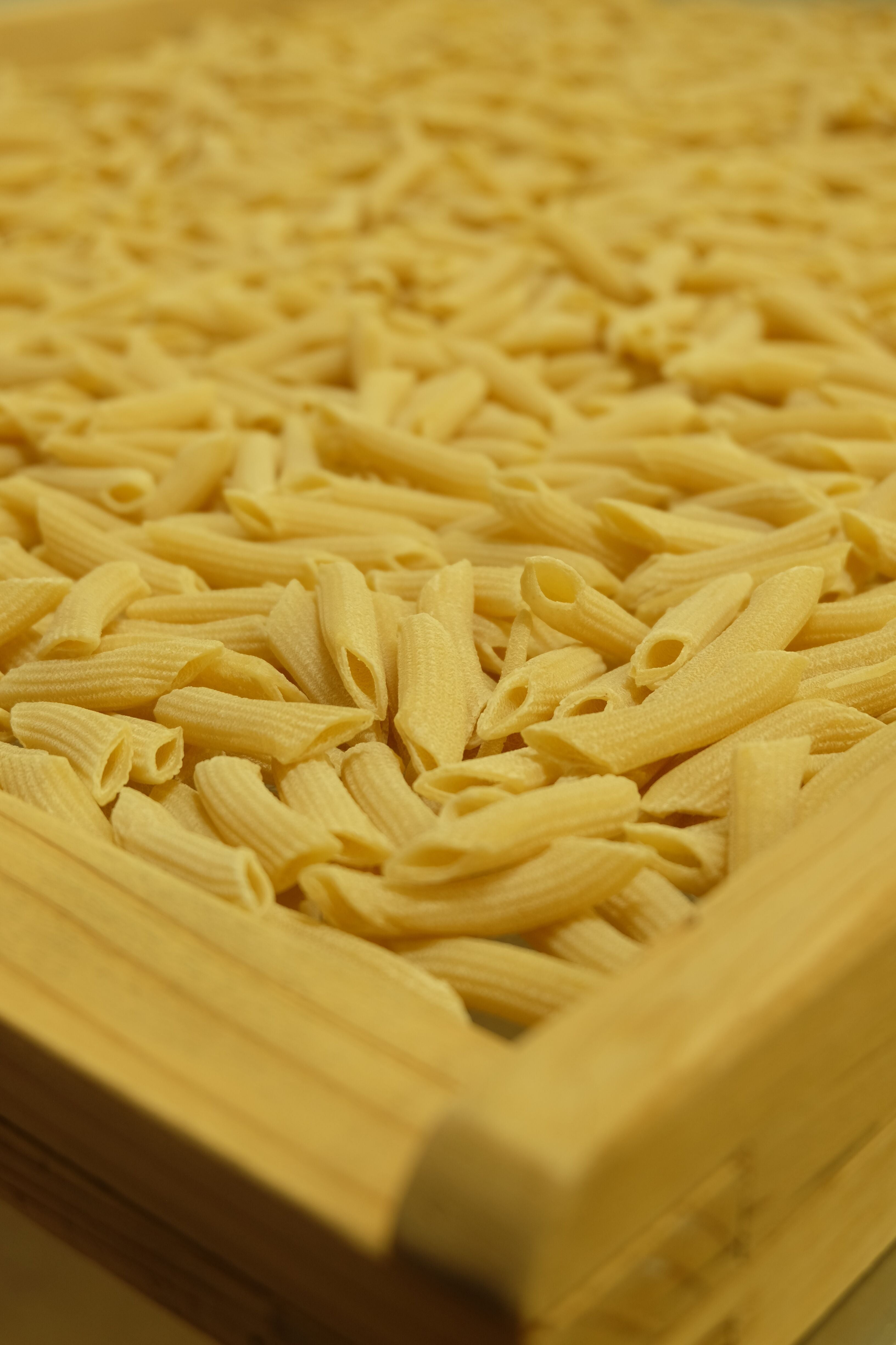 Pâtes Fabre - Pâtes BIO - Penne Rigate Nature