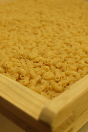Pâtes Fabre - Pâtes BIO - Coquillette Nature