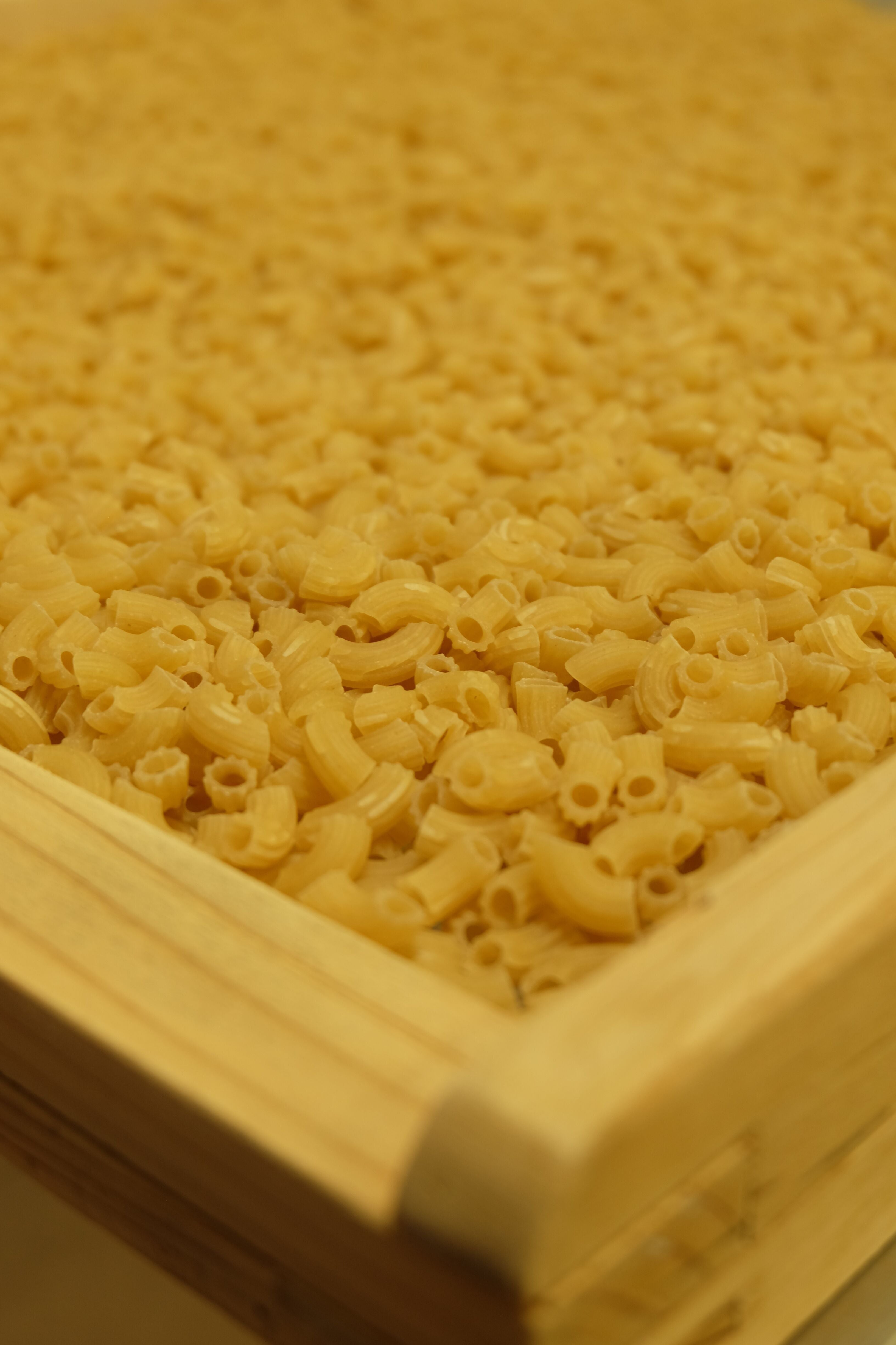 Pâtes Fabre - Pâtes BIO - Coquillette Nature