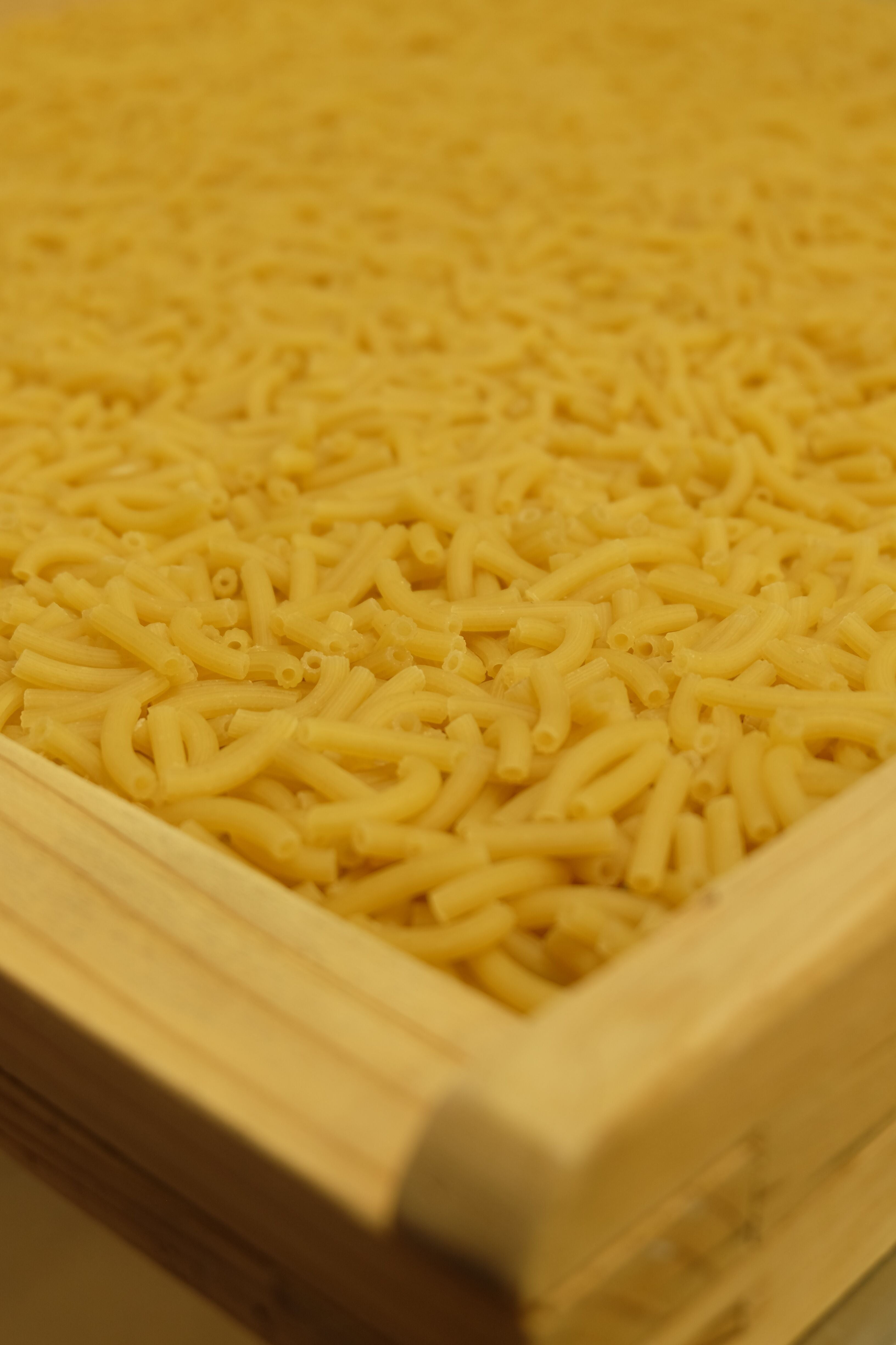 Pâtes Fabre - Pâtes BIO - Macaroni Rigate Nature