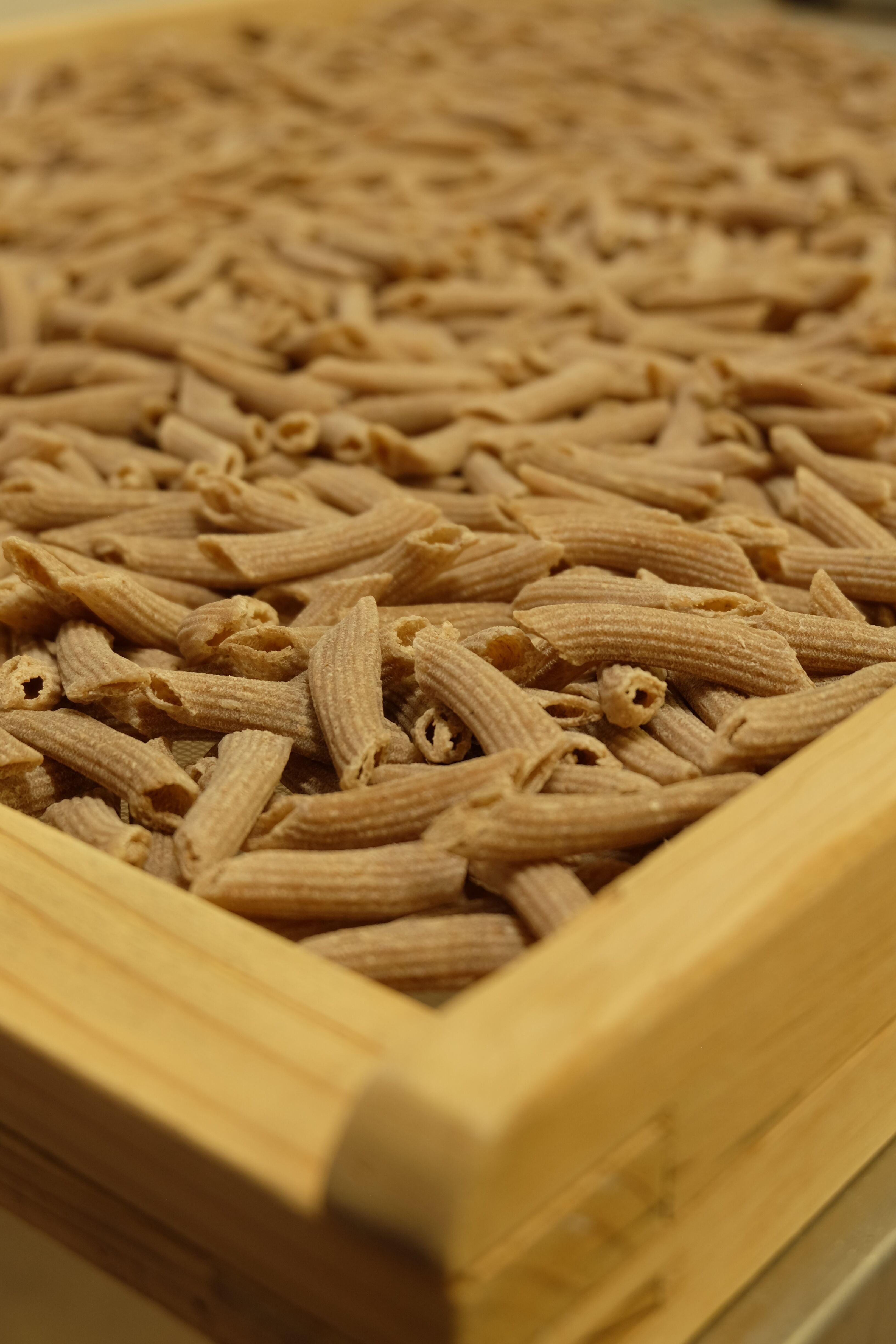 Pâtes Fabre - Pâtes BIO - Penne Rigate 1/2 Complète