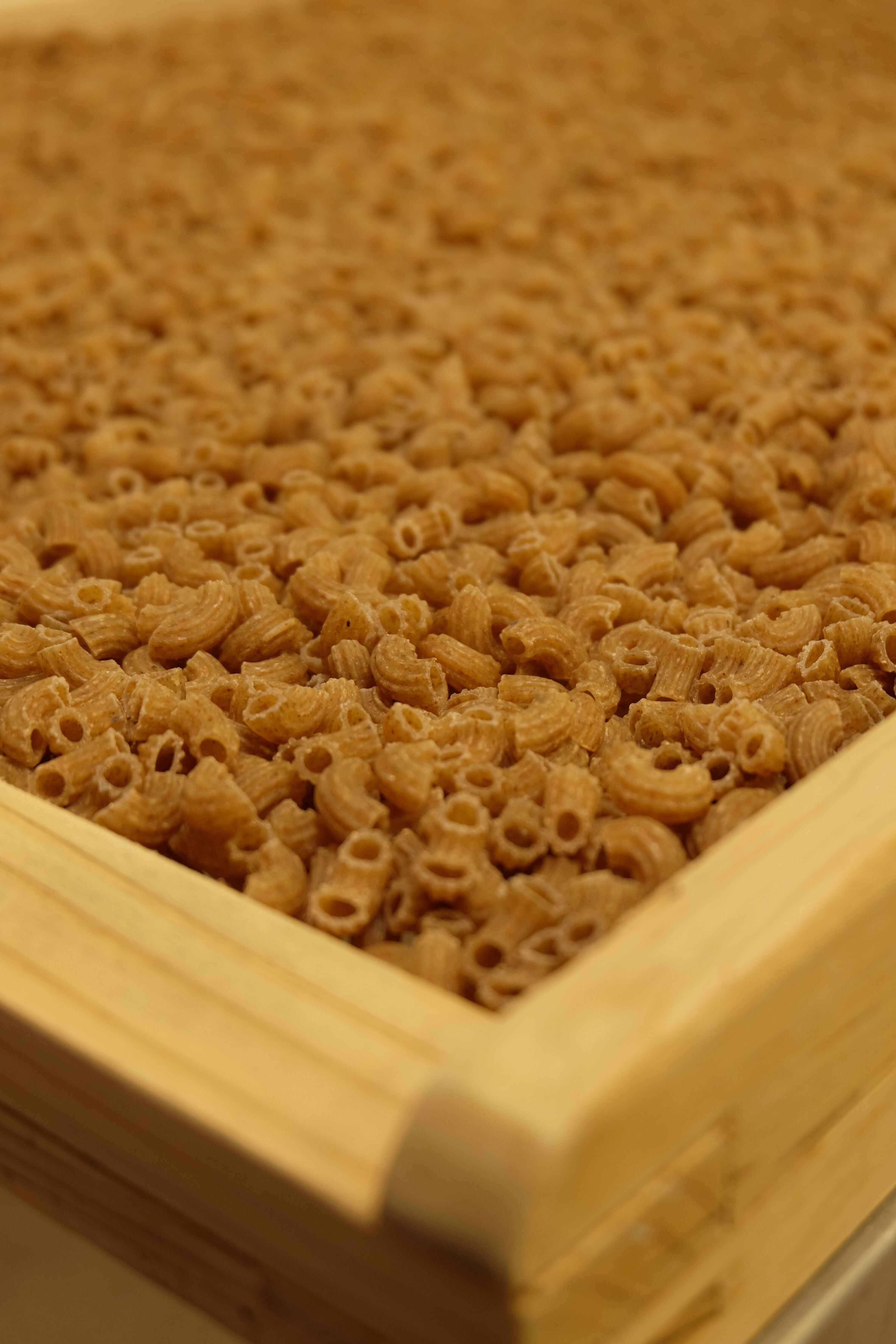 Pâtes Fabre - Pâtes BIO - Coquillette 1/2 complète