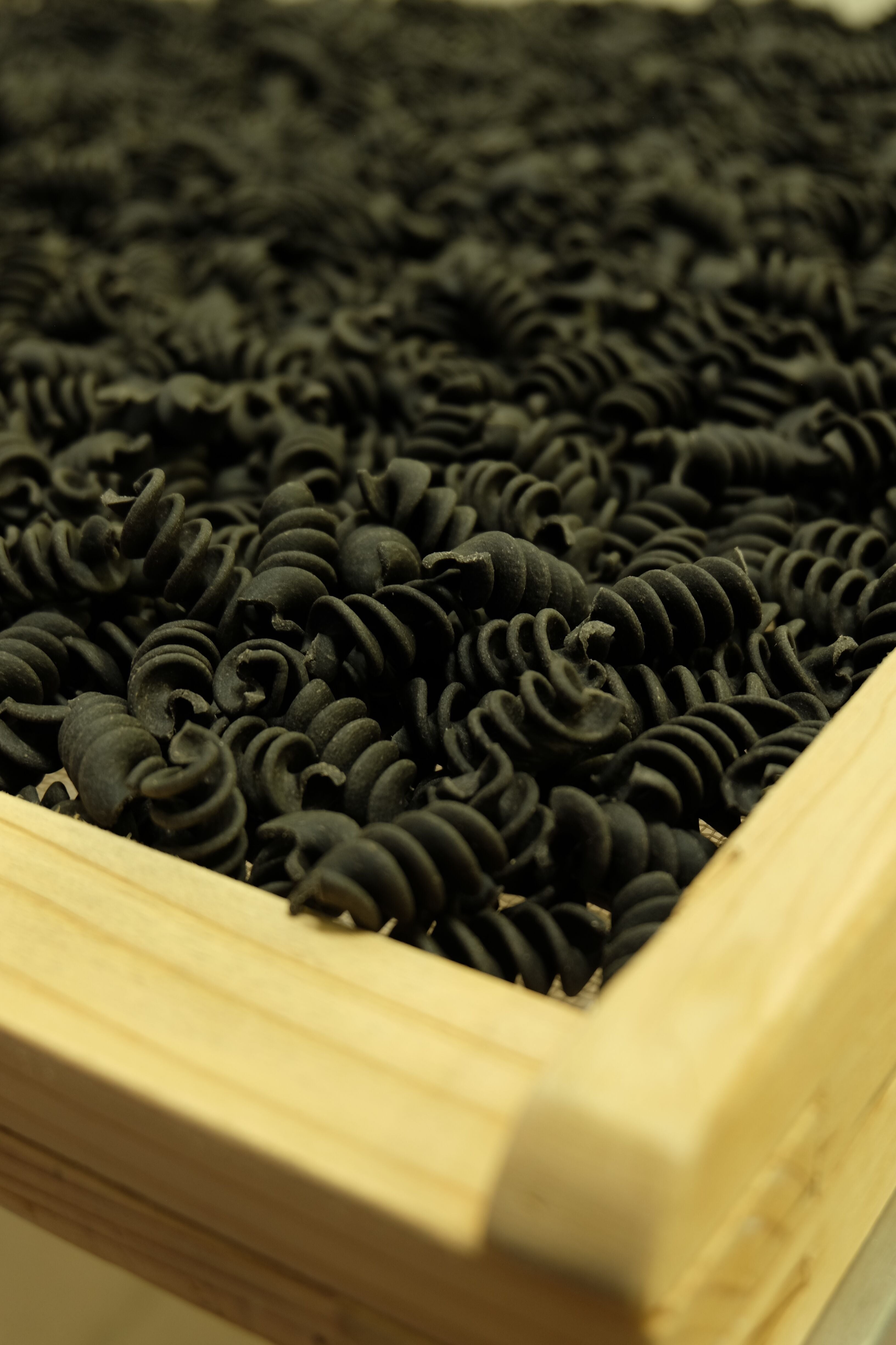 Pâtes Fabre - Pâtes BIO - Torsade à l'Algue Spiruline