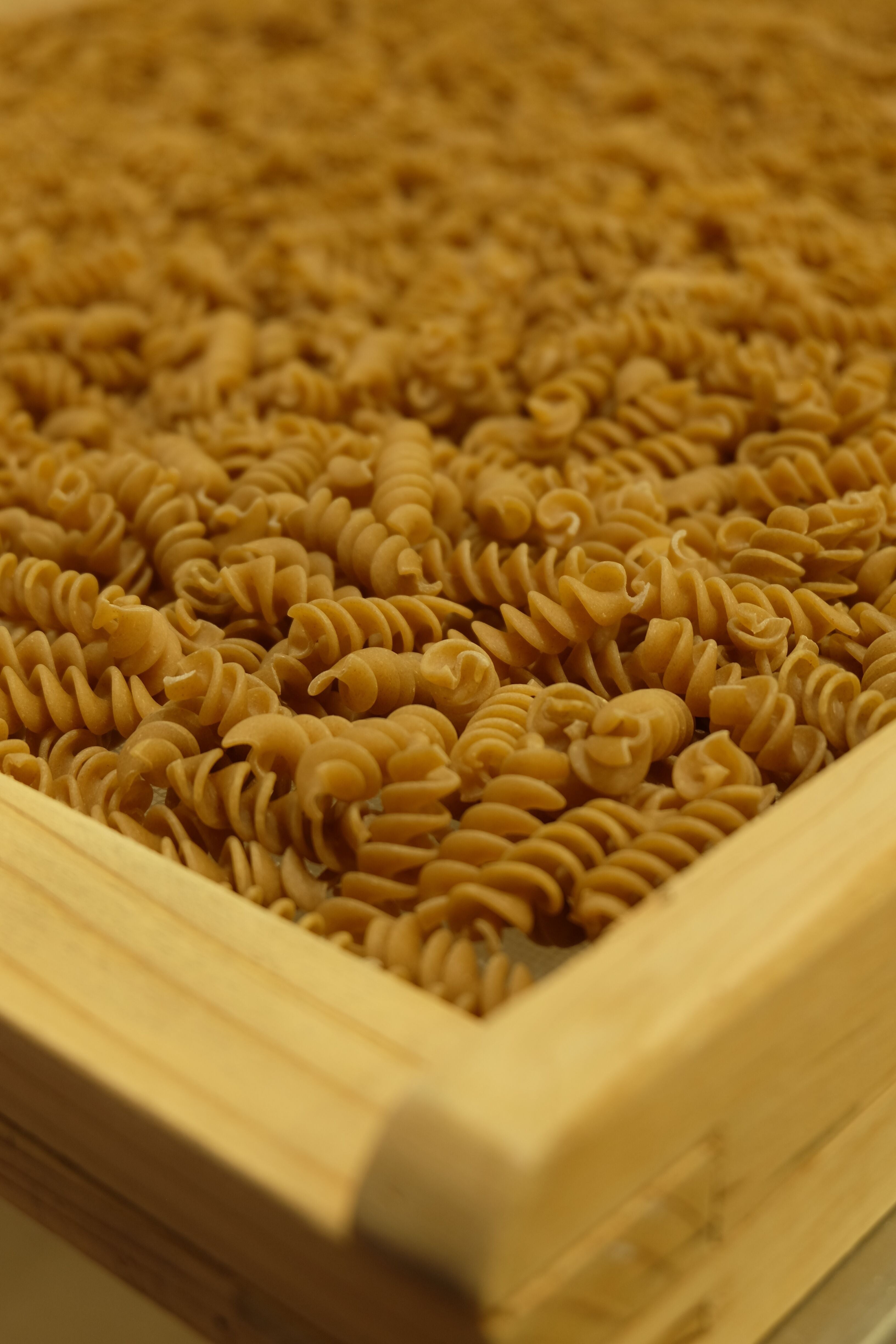 Pâtes Fabre - Pâtes BIO - Torsade de Petit Epeautre